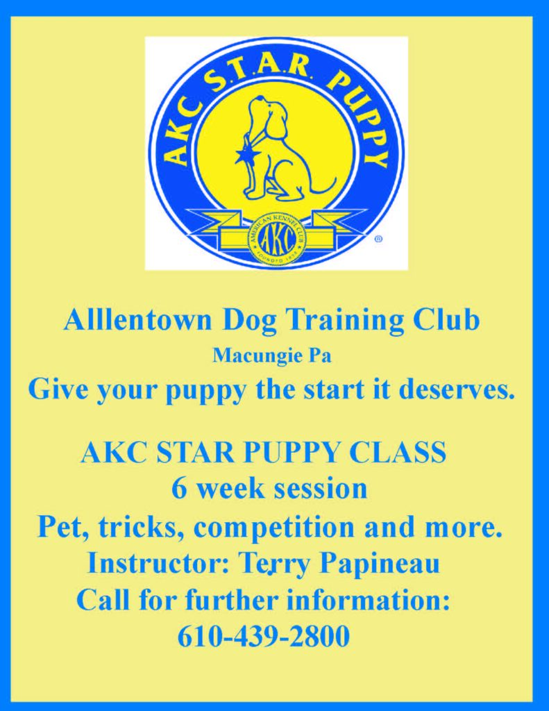 allentown dog training club classes star puppy